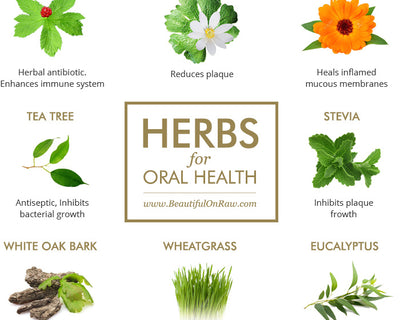 2-jar Special:  Bentonite Oral Balm