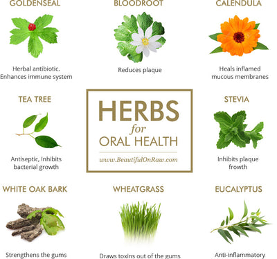 2-jar Special:  Bentonite Oral Balm