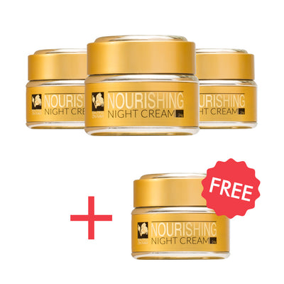 4-month Supply: Nourishing Night Cream