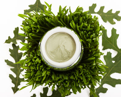 Oral Balm with Wheatgrass